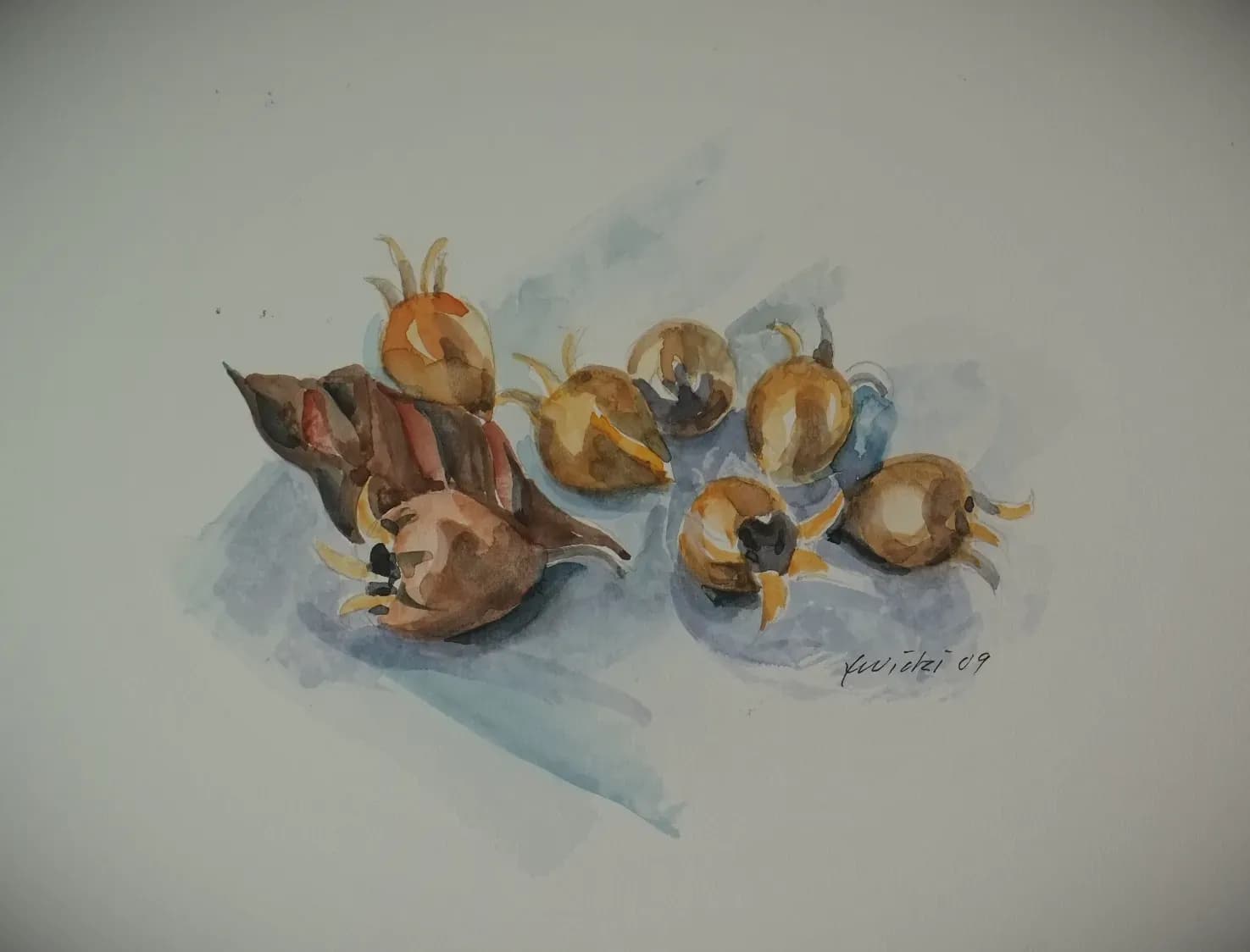 Naturstudie Nespola
