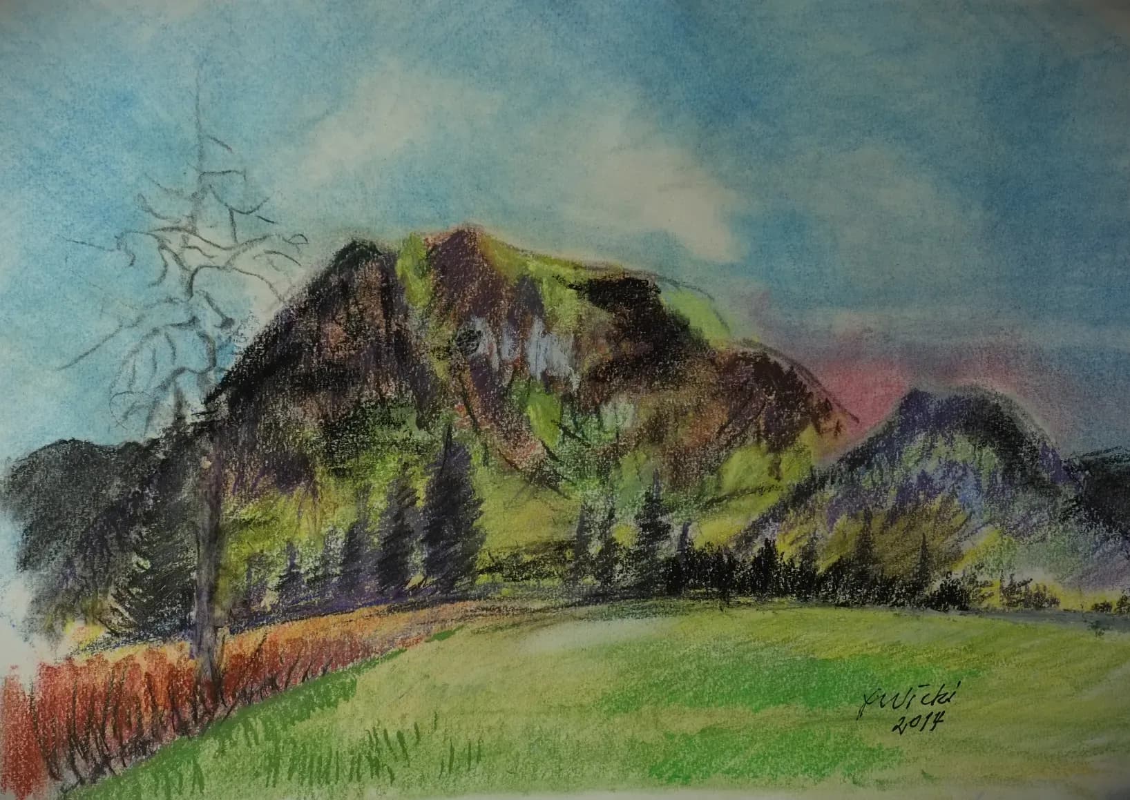Blick von Finsterwald
