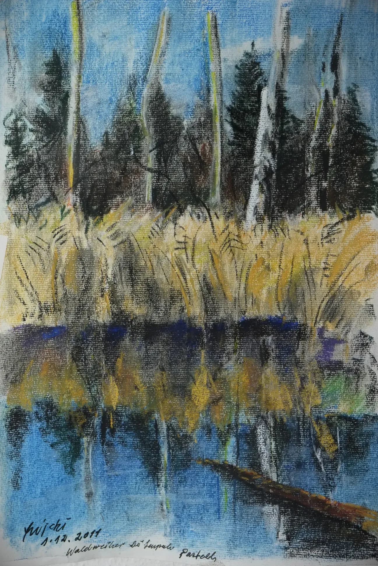 Waldweiher bei Sempach'
