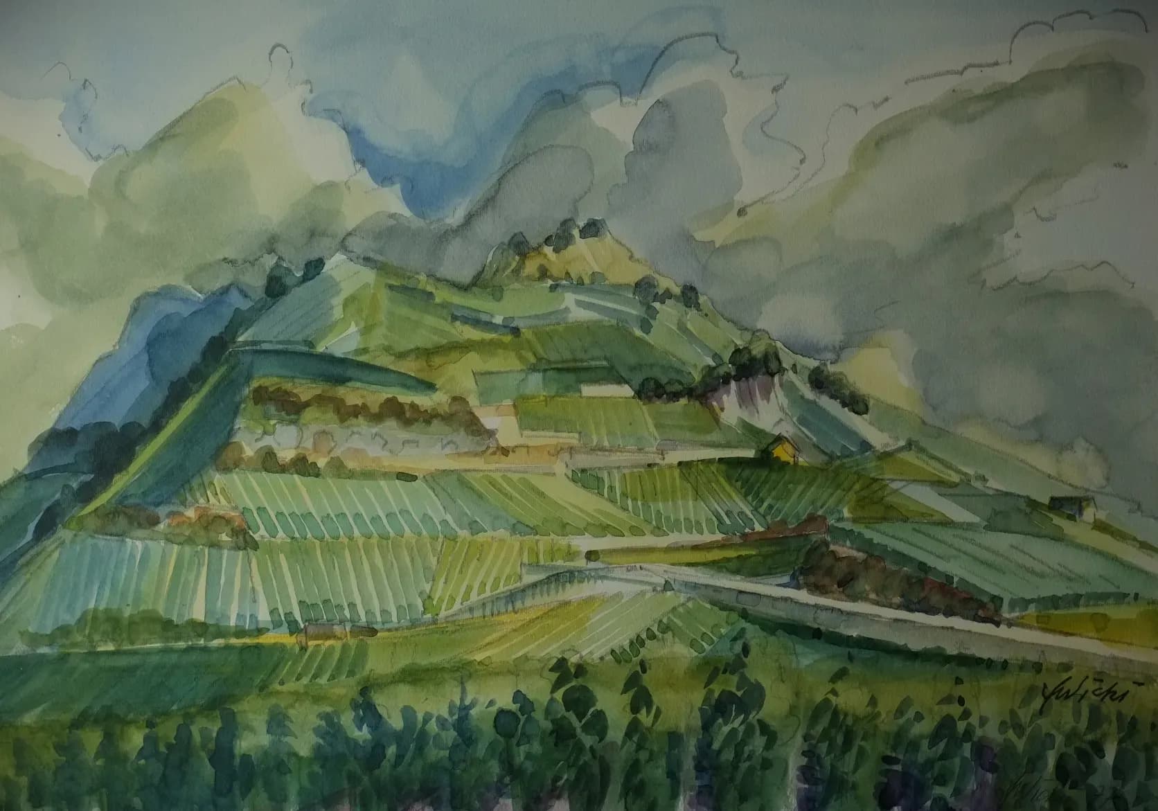 Reben im Wallis